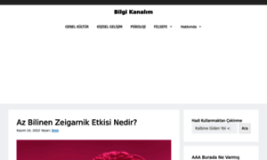 Bilgikanalim.com thumbnail