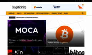 Bilgikripto.com thumbnail