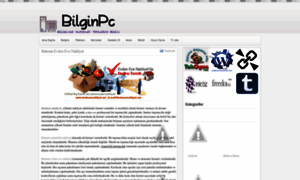 Bilginpc.blogspot.com thumbnail