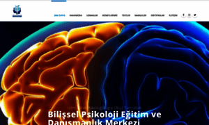 Bilisselpsikolojidanismanlik.com thumbnail