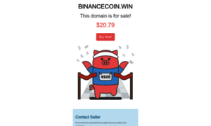 Binancecoin.win thumbnail