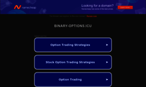 Binary-options.icu thumbnail