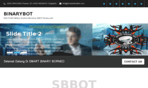 Binarybotsystem.com thumbnail