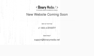 Binarymedia.net thumbnail