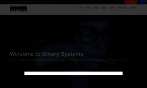 Binarysystems.co.in thumbnail