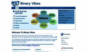 Binaryvibes.co.in thumbnail