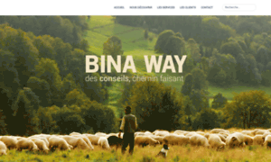 Binaway.org thumbnail