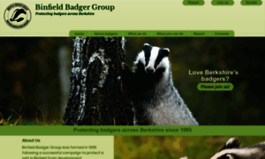 Binfieldbadgers.org.uk thumbnail