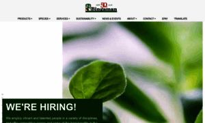 Bingamanlumber.com thumbnail