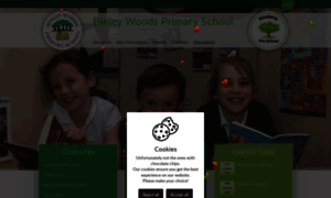 Binleywoodsprimaryschool.com thumbnail