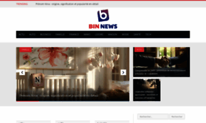 Binnews.info thumbnail
