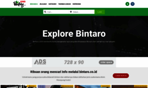 Bintaro.co.id thumbnail