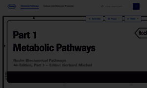 Biochemical-pathways.com thumbnail