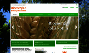 Bioenergianeuvoja.fi thumbnail