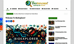 Bioexplorer.net thumbnail