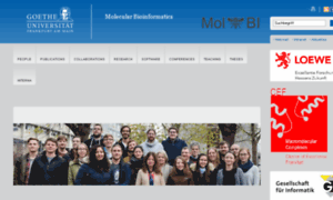 Bioinformatik.uni-frankfurt.de thumbnail