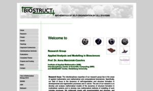 Biostruct.uni-hd.de thumbnail