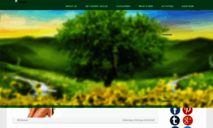 Biotiquebotanicals.blogspot.com thumbnail