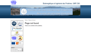 Bip.cnrs-mrs.fr thumbnail