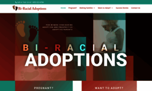 Biracial-adoptions.com thumbnail