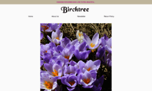 Birchtreewoodstock.net thumbnail