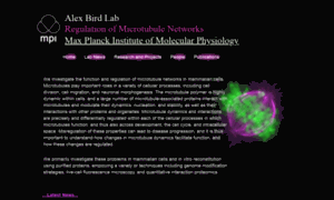 Bird-lab.org thumbnail