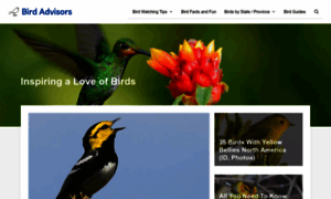 Birdadvisors.com thumbnail