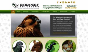 Birdandpestsolutions.co.uk thumbnail