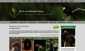 Birdandwildlifeteam.com thumbnail