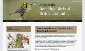Birdatlas.bc.ca thumbnail
