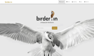 Birder.in thumbnail