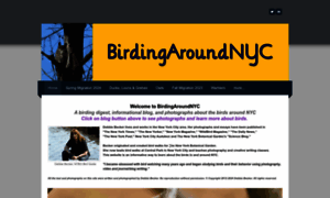 Birdingaroundnyc.com thumbnail