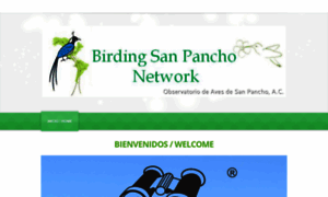 Birdingsanpancho.net thumbnail