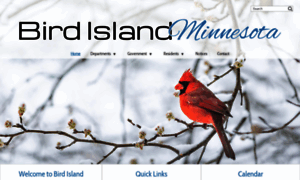 Birdislandcity.com thumbnail