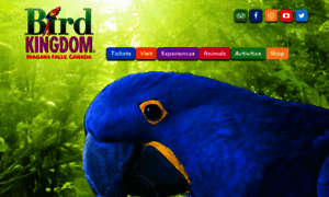 Birdkingdom.ca thumbnail