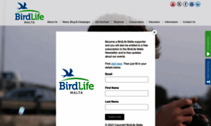 Birdlifemalta.org thumbnail
