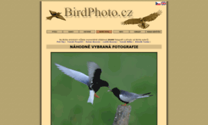 Birdphoto.cz thumbnail