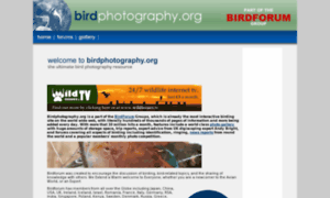 Birdphotography.org thumbnail