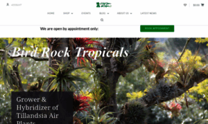 Birdrocktropicals.com thumbnail