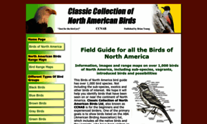 Birds-of-north-america.net thumbnail
