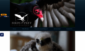 Birds-of-prey.org thumbnail