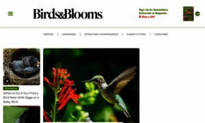 Birdsandblooms.com thumbnail