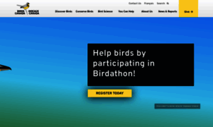 Birdscanada.org thumbnail