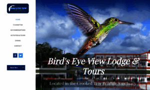 Birdseyeviewbelize.com thumbnail