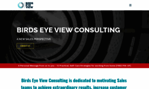 Birdseyeviewconsulting.com thumbnail