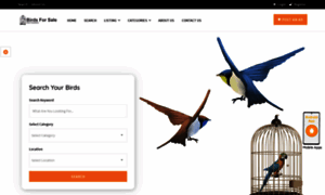 Birdsforsale.pk thumbnail