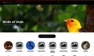Birdsofutah.com thumbnail