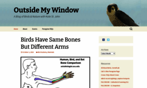 Birdsoutsidemywindow.org thumbnail