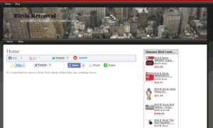 Birdsremoval.com thumbnail