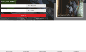 Birdtrader.com thumbnail